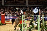 Cracker - 00488